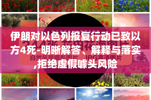 伊朗對以色列報復行動已致以方4死-明晰解答、解釋與落實,拒絕虛假噱頭風險