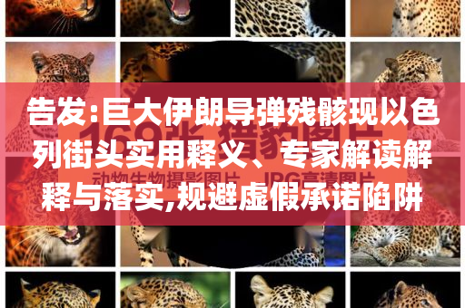 告發(fā):巨大伊朗導(dǎo)彈殘骸現(xiàn)以色列街頭實(shí)用釋義、專(zhuān)家解讀解釋與落實(shí),規(guī)避虛假承諾陷阱