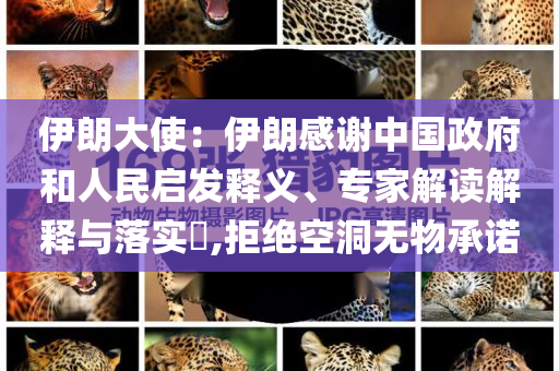 伊朗大使：伊朗感謝中國(guó)政府和人民啟發(fā)釋義、專(zhuān)家解讀解釋與落實(shí)?,拒絕空洞無(wú)物承諾