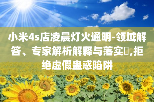 小米4s店凌晨燈火通明-領(lǐng)域解答、專家解析解釋與落實(shí)?,拒絕虛假蠱惑陷阱