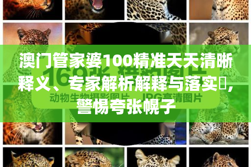 澳門管家婆100精準天天清晰釋義、專家解析解釋與落實?,警惕夸張幌子
