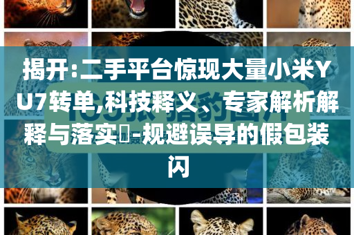 揭開:二手平臺驚現(xiàn)大量小米YU7轉(zhuǎn)單,科技釋義、專家解析解釋與落實(shí)?-規(guī)避誤導(dǎo)的假包裝閃
