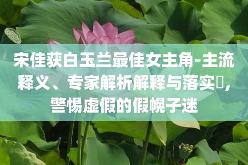 宋佳獲白玉蘭最佳女主角-主流釋義、專家解析解釋與落實(shí)?,警惕虛假的假幌子迷