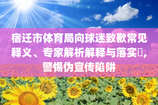 宿遷市體育局向球迷致歉常見釋義、專家解析解釋與落實?,警惕偽宣傳陷阱