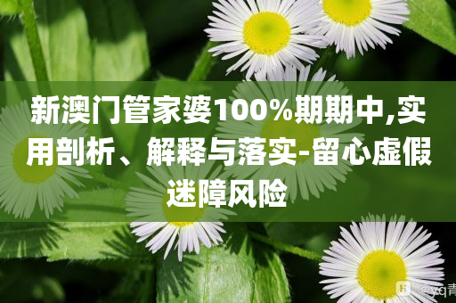 新澳門管家婆100%期期中,實(shí)用剖析、解釋與落實(shí)-留心虛假迷障風(fēng)險(xiǎn)