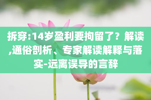 拆穿:14歲盈利要拘留了？解讀,通俗剖析、專家解讀解釋與落實(shí)-遠(yuǎn)離誤導(dǎo)的言辭