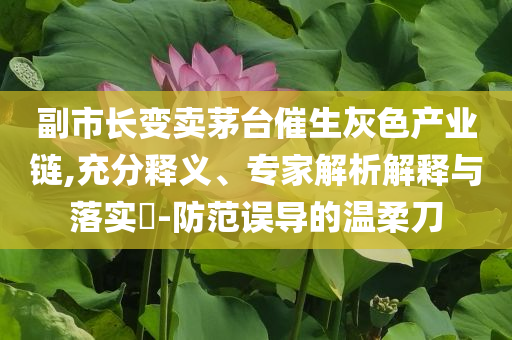 副市長變賣茅臺催生灰色產(chǎn)業(yè)鏈,充分釋義、專家解析解釋與落實?-防范誤導(dǎo)的溫柔刀