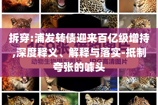 拆穿:浦發(fā)轉(zhuǎn)債迎來百億級增持,深度釋義、解釋與落實(shí)-抵制夸張的噱頭