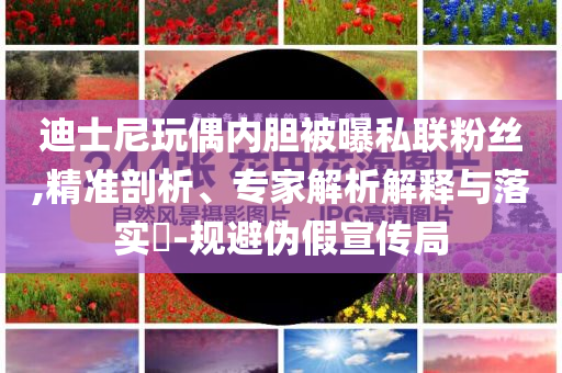 迪士尼玩偶內(nèi)膽被曝私聯(lián)粉絲,精準剖析、專家解析解釋與落實?-規(guī)避偽假宣傳局