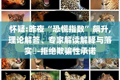 懷疑:昨夜“恐慌指數(shù)”飆升,理論解答、專家解讀解釋與落實?-拒絕欺騙性承諾