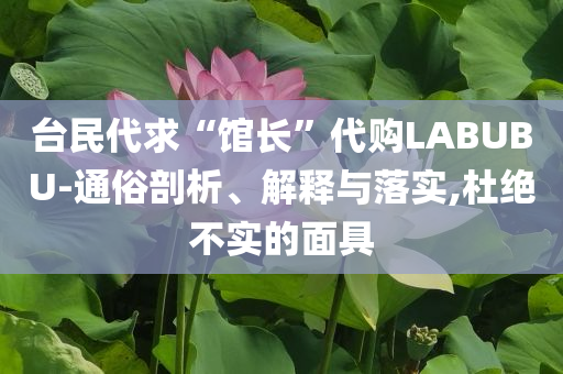 臺民代求“館長”代購LABUBU-通俗剖析、解釋與落實,杜絕不實的面具