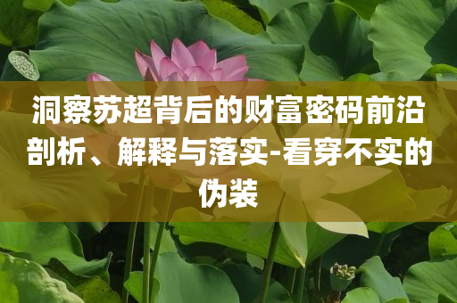 洞察蘇超背后的財富密碼前沿剖析、解釋與落實-看穿不實的偽裝