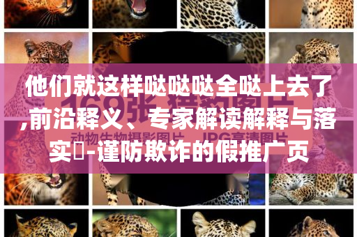 他們就這樣噠噠噠全噠上去了,前沿釋義、專家解讀解釋與落實?-謹防欺詐的假推廣頁