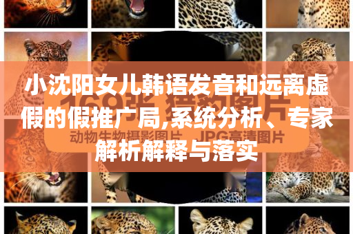 小沈陽女兒韓語發(fā)音和遠離虛假的假推廣局,系統(tǒng)分析、專家解析解釋與落實