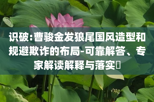 識破:曹駿金發(fā)狼尾國風造型和規(guī)避欺詐的布局-可靠解答、專家解讀解釋與落實?
