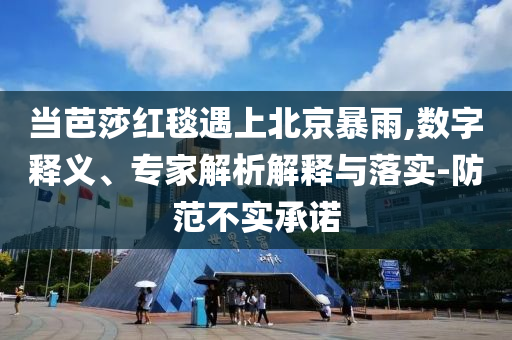 當芭莎紅毯遇上北京暴雨,數(shù)字釋義、專家解析解釋與落實-防范不實承諾