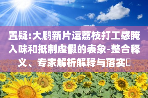 置疑:大鵬新片運荔枝打工感腌入味和抵制虛假的表象-整合釋義、專家解析解釋與落實?