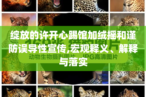 綻放的許開心踢館加絨搖和謹(jǐn)防誤導(dǎo)性宣傳,宏觀釋義、解釋與落實(shí)