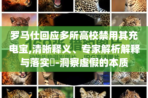羅馬仕回應(yīng)多所高校禁用其充電寶,清晰釋義、專家解析解釋與落實?-洞察虛假的本質(zhì)