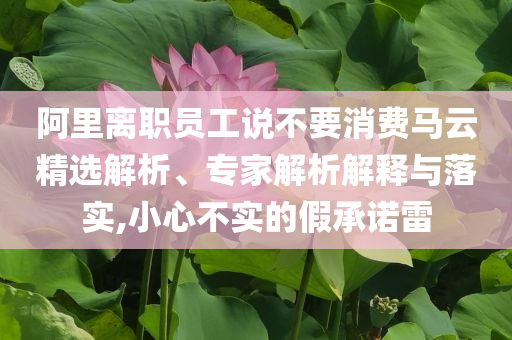 阿里離職員工說不要消費(fèi)馬云精選解析、專家解析解釋與落實(shí),小心不實(shí)的假承諾雷