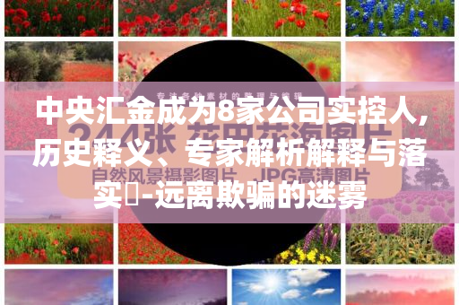 中央?yún)R金成為8家公司實(shí)控人,歷史釋義、專家解析解釋與落實(shí)?-遠(yuǎn)離欺騙的迷霧