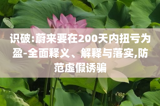 識(shí)破:蔚來要在200天內(nèi)扭虧為盈-全面釋義、解釋與落實(shí),防范虛假誘騙