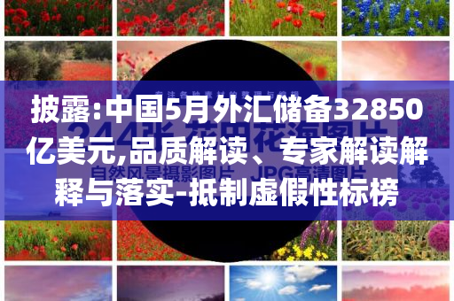 king擺渡 第522頁(yè)