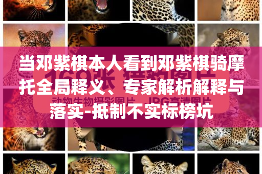 生活榜單 第94頁(yè)