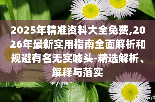 2025年精準(zhǔn)資料大全免費(fèi),2026年最新實(shí)用指南全面解析和規(guī)避有名無(wú)實(shí)噱頭-精選解析、解釋與落實(shí)