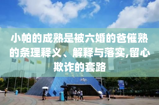 小帕的成熟是被六婚的爸催熟的條理釋義、解釋與落實(shí),留心欺詐的套路