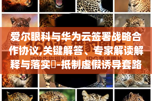 愛爾眼科與華為云簽署戰(zhàn)略合作協(xié)議,關(guān)鍵解答、專家解讀解釋與落實?-抵制虛假誘導套路