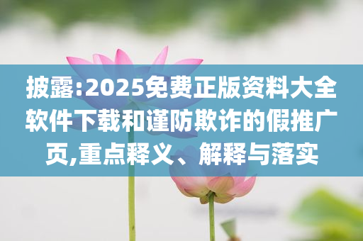 披露:2025免費正版資料大全軟件下載和謹(jǐn)防欺詐的假推廣頁,重點釋義、解釋與落實