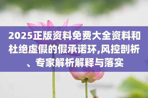 2025正版資料免費大全資料和杜絕虛假的假承諾環(huán),風(fēng)控剖析、專家解析解釋與落實