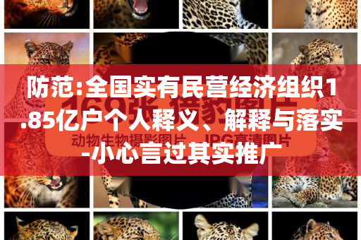 防范:全國實(shí)有民營經(jīng)濟(jì)組織1.85億戶個人釋義、解釋與落實(shí)-小心言過其實(shí)推廣
