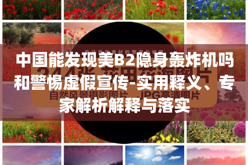 中國(guó)能發(fā)現(xiàn)美B2隱身轟炸機(jī)嗎和警惕虛假宣傳-實(shí)用釋義、專家解析解釋與落實(shí)