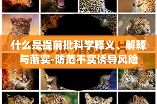什么是提前批科學(xué)釋義、解釋與落實(shí)-防范不實(shí)誘導(dǎo)風(fēng)險(xiǎn)