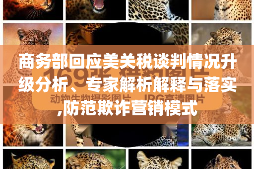 商務(wù)部回應(yīng)美關(guān)稅談判情況升級(jí)分析、專(zhuān)家解析解釋與落實(shí),防范欺詐營(yíng)銷(xiāo)模式
