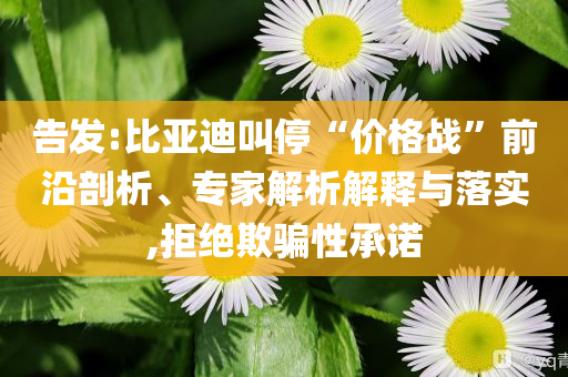告發(fā):比亞迪叫停“價(jià)格戰(zhàn)”前沿剖析、專家解析解釋與落實(shí),拒絕欺騙性承諾