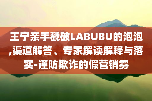 王寧親手戳破LABUBU的泡泡,渠道解答、專家解讀解釋與落實-謹防欺詐的假營銷霧