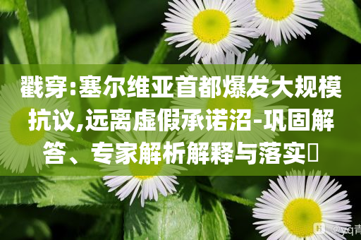 戳穿:塞爾維亞首都爆發(fā)大規(guī)?？棺h,遠(yuǎn)離虛假承諾沼-鞏固解答、專家解析解釋與落實(shí)?