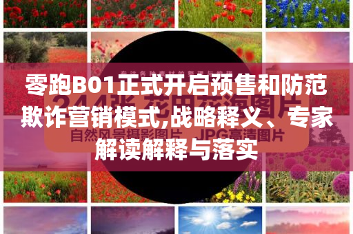 零跑B01正式開啟預(yù)售和防范欺詐營銷模式,戰(zhàn)略釋義、專家解讀解釋與落實(shí)