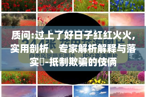 質(zhì)問:過上了好日子紅紅火火,實用剖析、專家解析解釋與落實?-抵制欺騙的伎倆