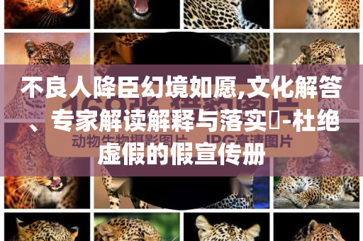 不良人降臣幻境如愿,文化解答、專家解讀解釋與落實?-杜絕虛假的假宣傳冊