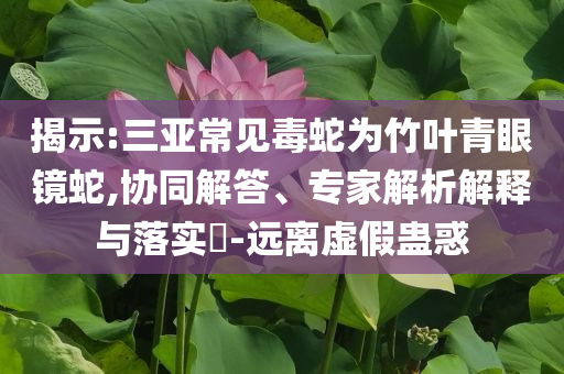 揭示:三亞常見毒蛇為竹葉青眼鏡蛇,協(xié)同解答、專家解析解釋與落實?-遠離虛假蠱惑