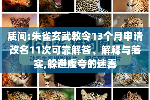 質(zhì)問:朱雀玄武敕令13個(gè)月申請(qǐng)改名11次可靠解答、解釋與落實(shí),躲避虛夸的迷霧