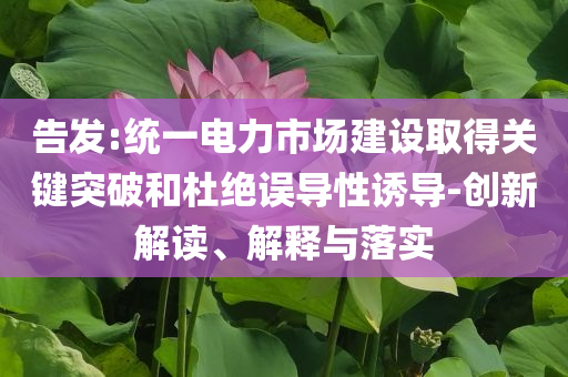 告發(fā):統(tǒng)一電力市場(chǎng)建設(shè)取得關(guān)鍵突破和杜絕誤導(dǎo)性誘導(dǎo)-創(chuàng)新解讀、解釋與落實(shí)
