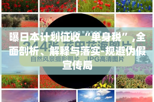 曝日本計(jì)劃征收“單身稅”,全面剖析、解釋與落實(shí)-規(guī)避偽假宣傳局