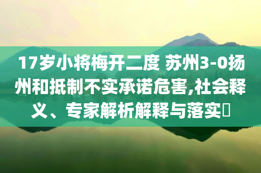 17歲小將梅開二度 蘇州3-0揚(yáng)州和抵制不實(shí)承諾危害,社會釋義、專家解析解釋與落實(shí)?