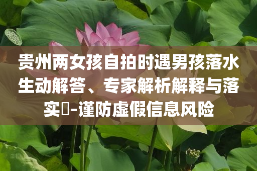 貴州兩女孩自拍時(shí)遇男孩落水生動(dòng)解答、專家解析解釋與落實(shí)?-謹(jǐn)防虛假信息風(fēng)險(xiǎn)