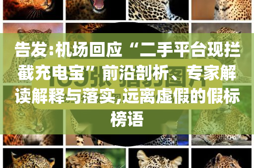 2025年6月 第28頁